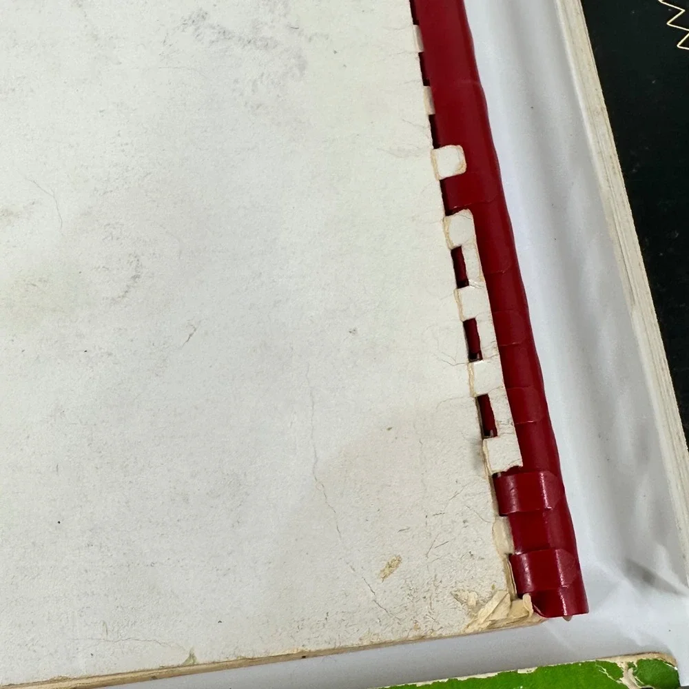 Vintage Community Cookbook Lot 6 Spiral Bound Virginia Beta Club Beta Sigma Phi